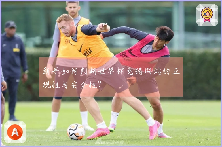 新手如何判断世界杯竞猜网站的正规性与安全性？