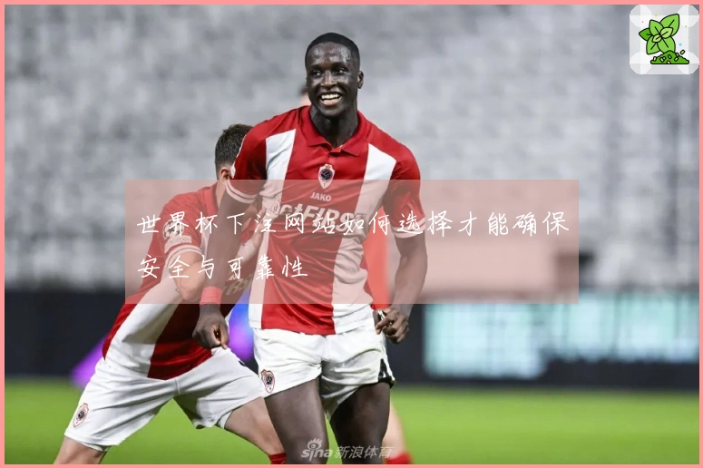 世界杯下注网站如何选择才能确保安全与可靠性