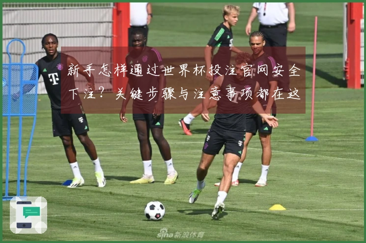 新手怎样通过世界杯投注官网安全下注？关键步骤与注意事项都在这里