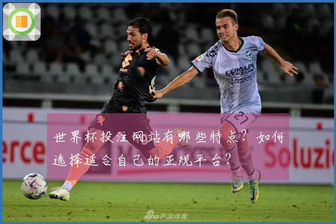 世界杯投注网站有哪些特点？如何选择适合自己的正规平台？