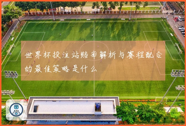 世界杯投注站赔率解析与赛程配合的最佳策略是什么