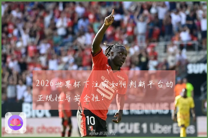 2026世界杯下注前如何判断平台的正规性与安全性？