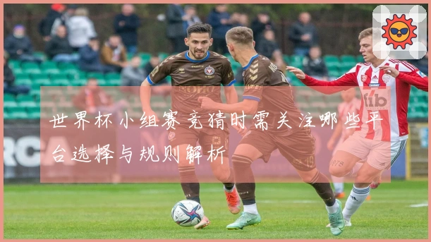世界杯小组赛竞猜时需关注哪些平台选择与规则解析