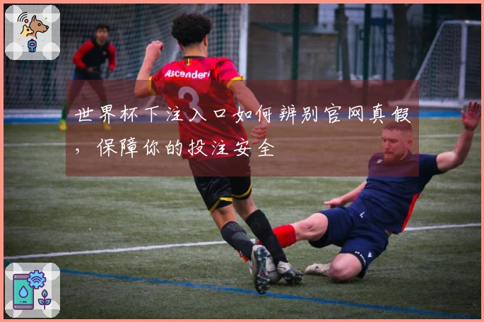 世界杯下注入口如何辨别官网真假，保障你的投注安全
