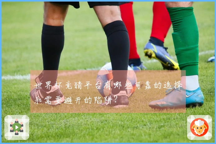 世界杯竞猜平台有哪些可靠的选择和需要避开的陷阱？