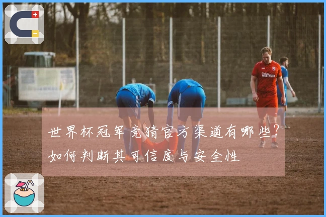 世界杯冠军竞猜官方渠道有哪些?如何判断其可信度与安全性