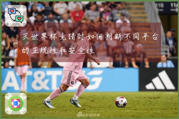 买世界杯竞猜时如何判断不同平台的正规性和安全性