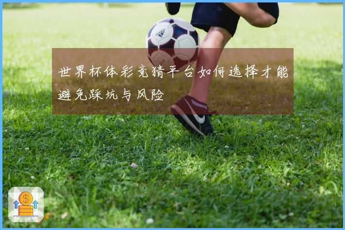 世界杯体彩竞猜平台如何选择才能避免踩坑与风险