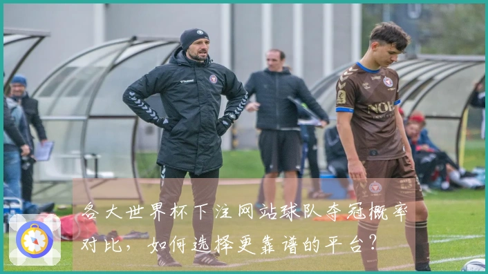 各大世界杯下注网站球队夺冠概率对比，如何选择更靠谱的平台？