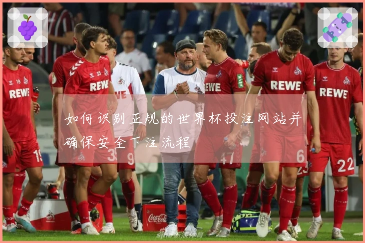 如何识别正规的世界杯投注网站并确保安全下注流程