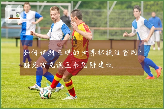如何识别正规的世界杯投注官网?避免常见误区和陷阱建议