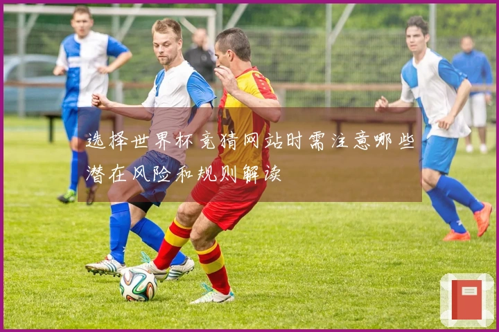 选择世界杯竞猜网站时需注意哪些潜在风险和规则解读