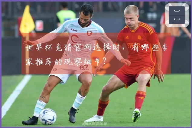 世界杯竞猜官网选择时，有哪些专家推荐的观察细节？
