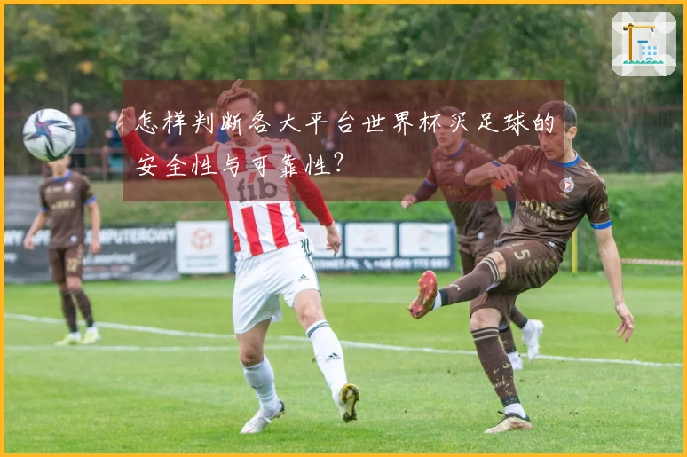 怎样判断各大平台世界杯买足球的安全性与可靠性？