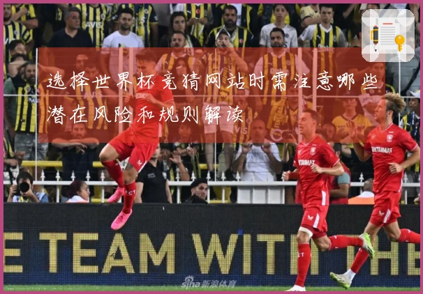 选择世界杯竞猜网站时需注意哪些潜在风险和规则解读