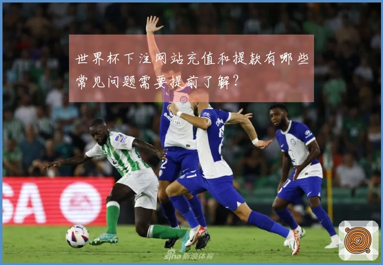 世界杯下注网站充值和提款有哪些常见问题需要提前了解？
