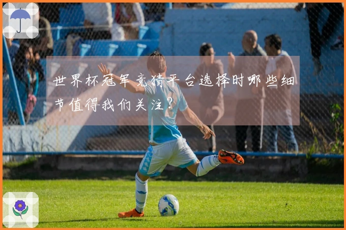 世界杯冠军竞猜平台选择时哪些细节值得我们关注？