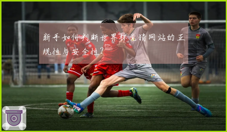 新手如何判断世界杯竞猜网站的正规性与安全性？